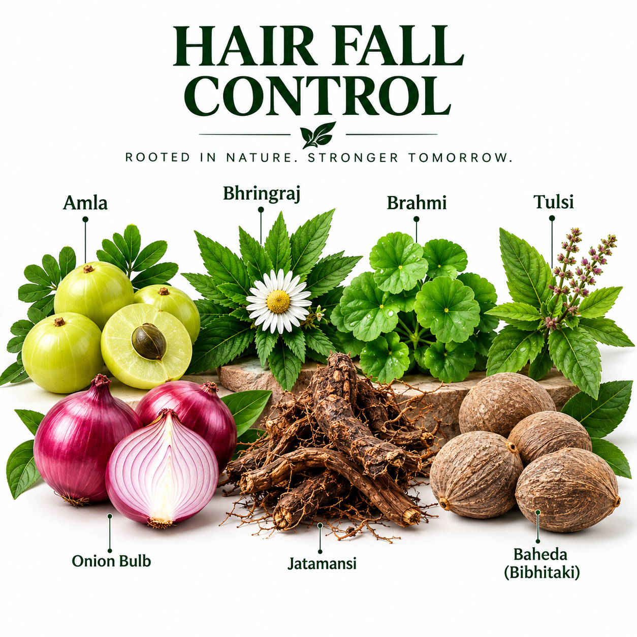 1. Hair Fall Controlling Herbs