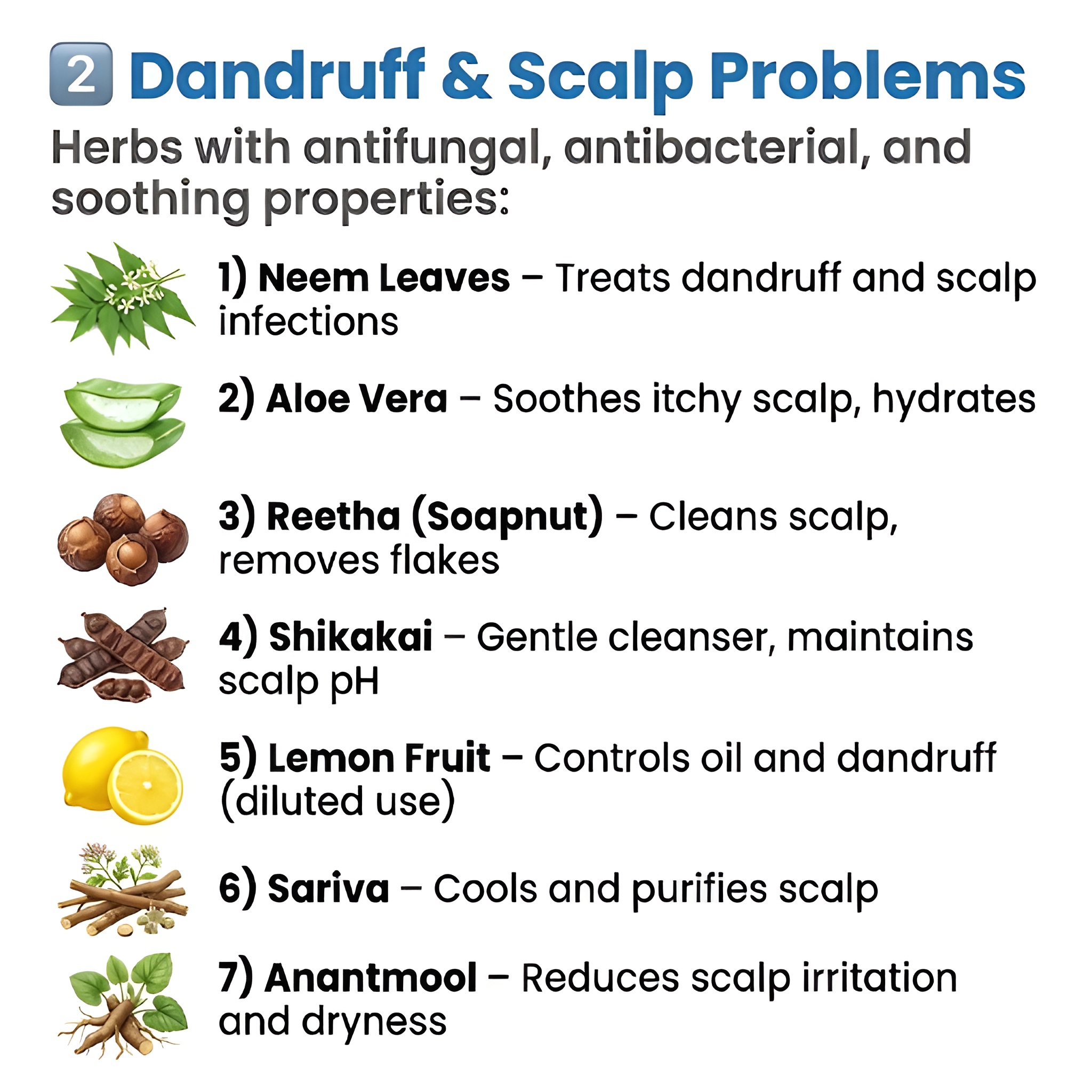 dandruff scalp problems